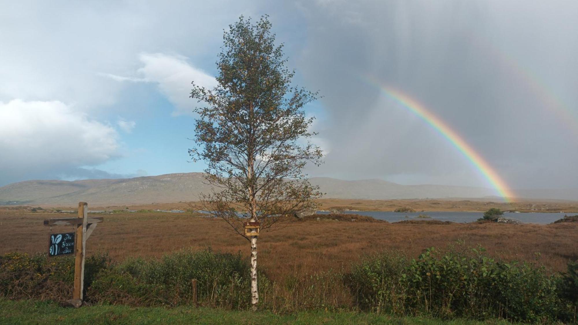 Connemara Lake View Apartment Camus Eighter Eksteriør billede