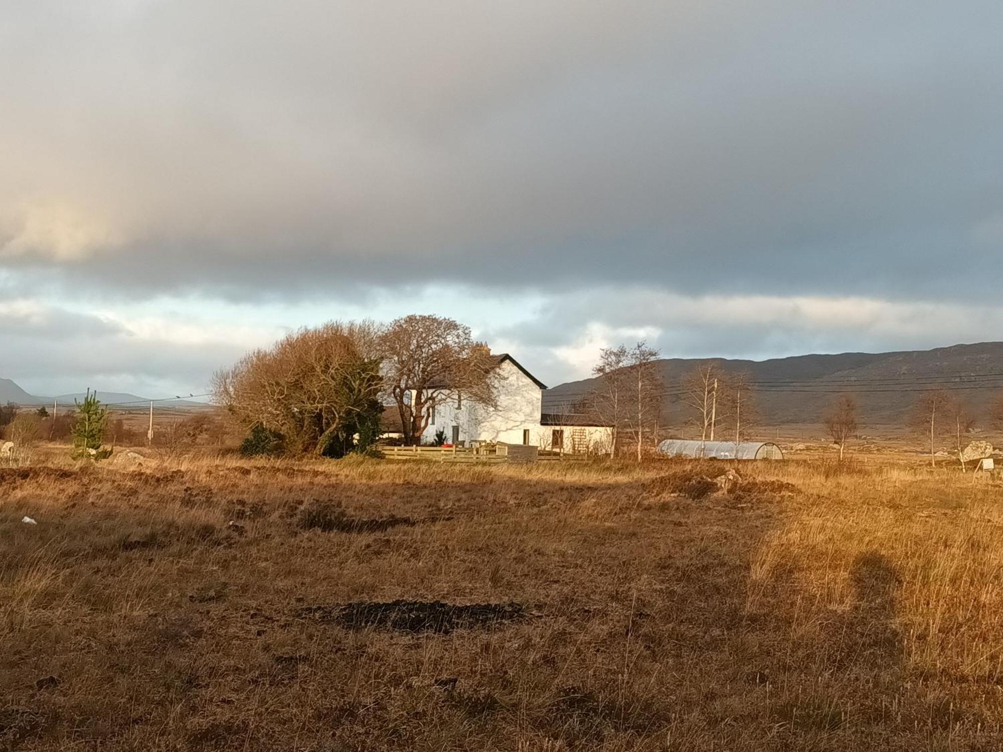 Connemara Lake View Apartment Camus Eighter Eksteriør billede