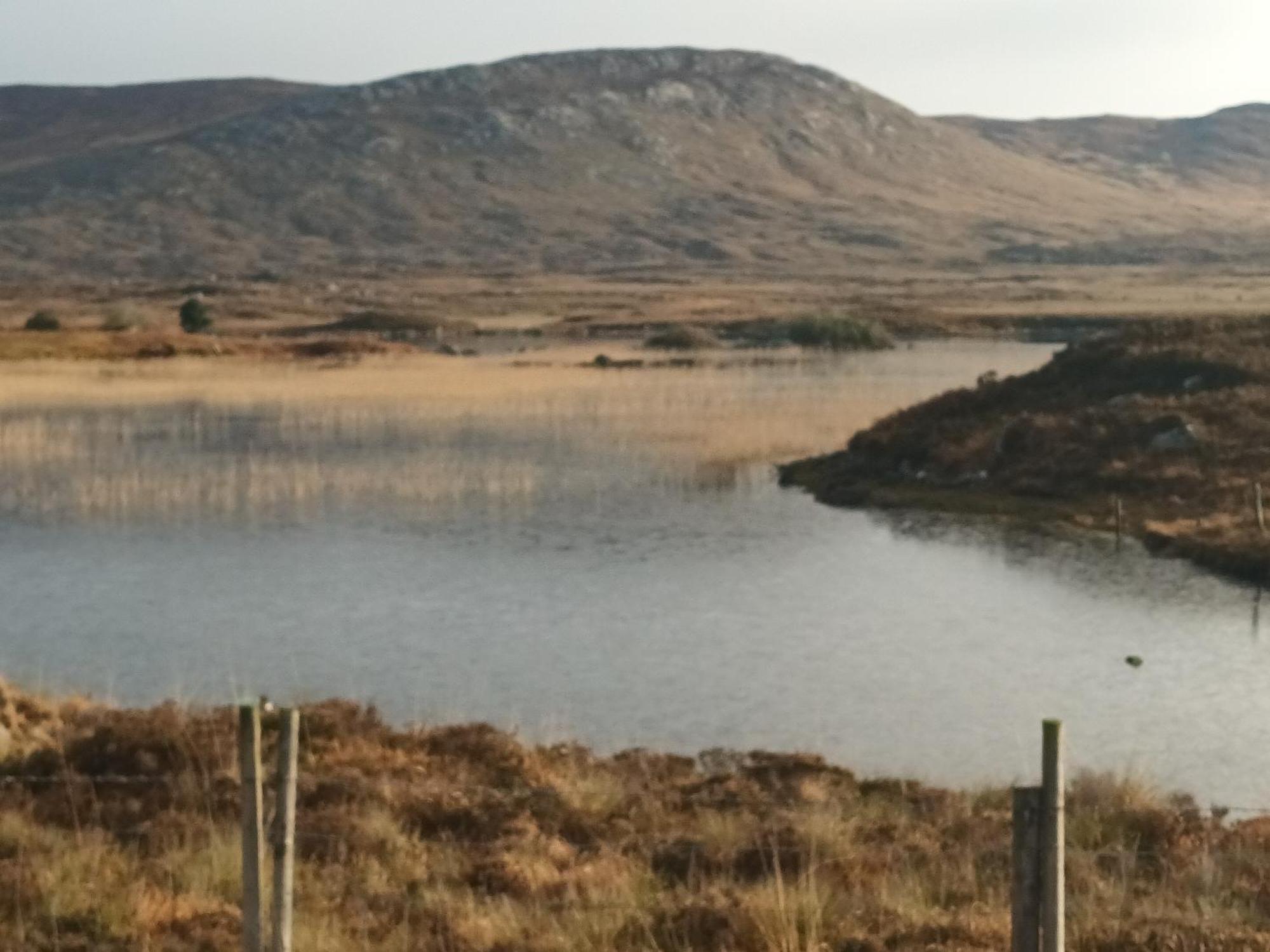 Connemara Lake View Apartment Camus Eighter Eksteriør billede