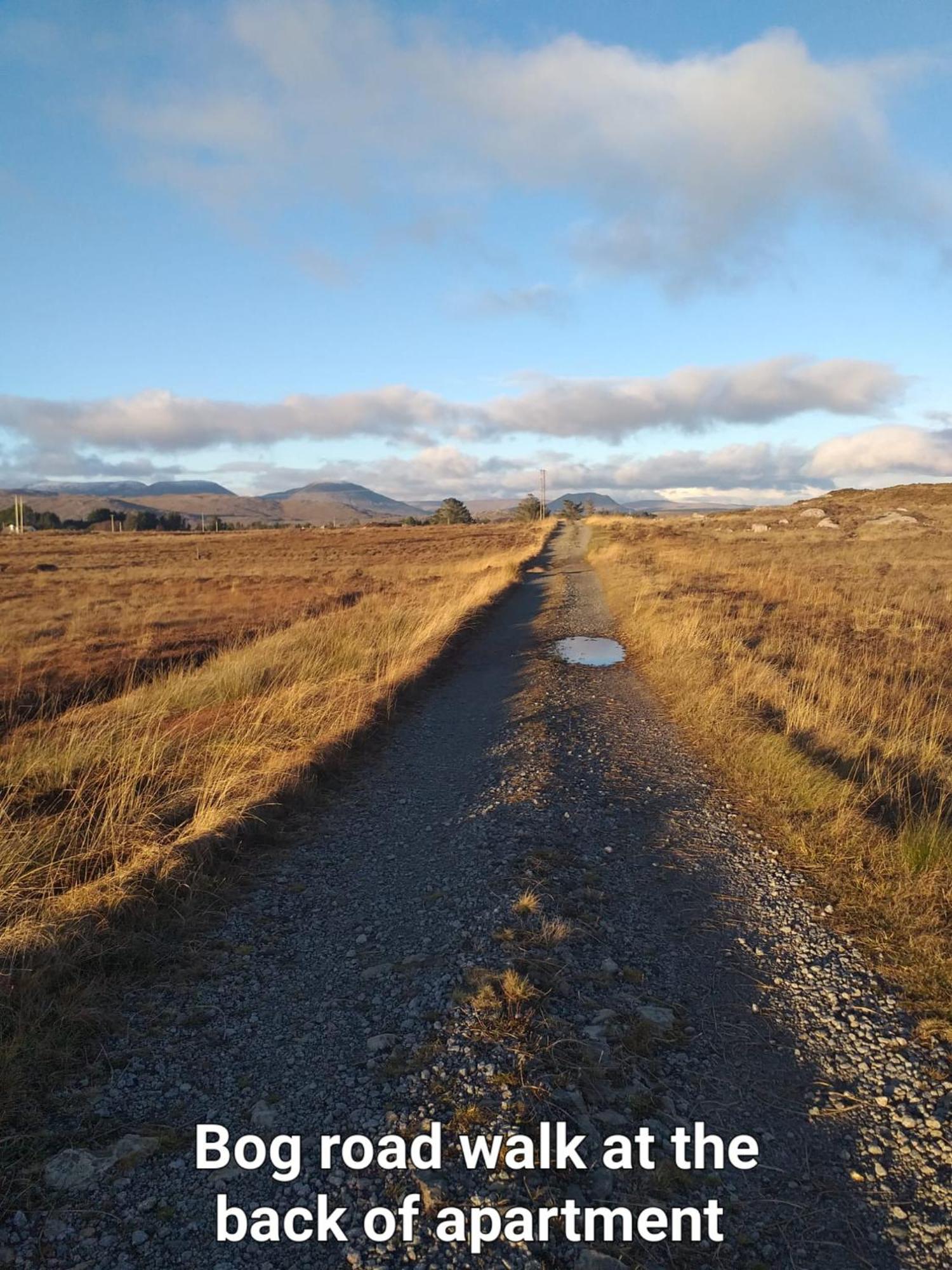 Connemara Lake View Apartment Camus Eighter Eksteriør billede